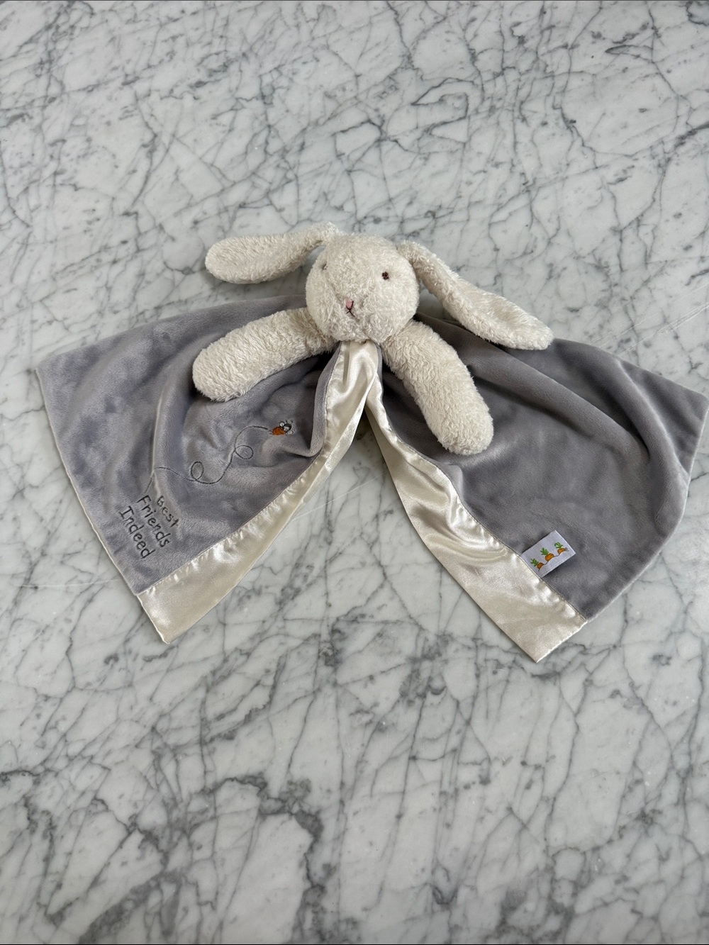 Bunnies by the Bay BLOOM BUNNY BUDDY BLANKET Bee Rabbit